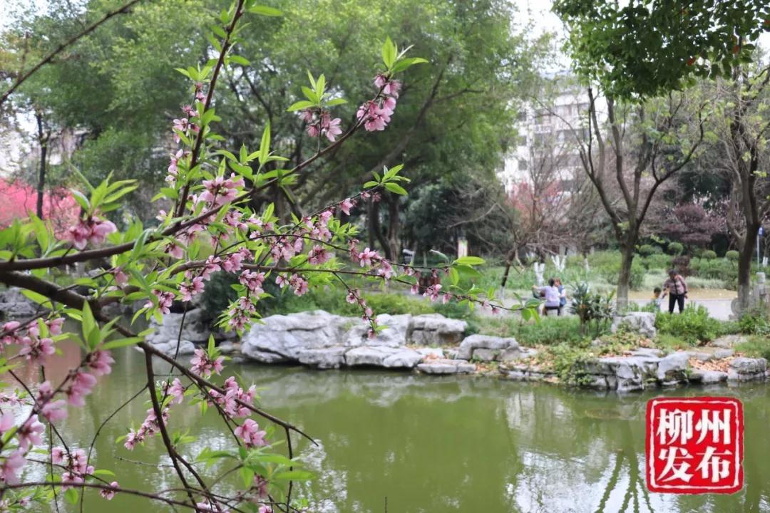 微信图片_20180303125741.jpg