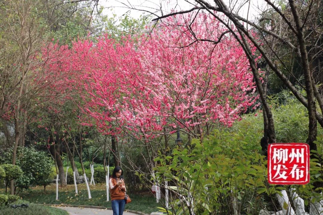 微信图片_20180303125854.jpg