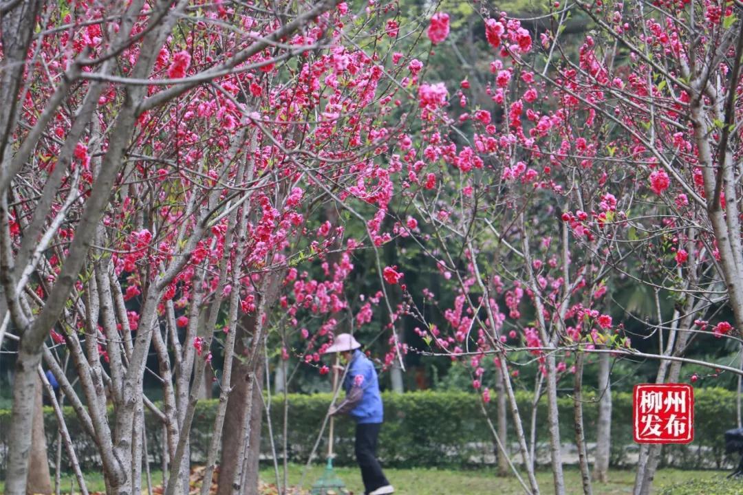 微信图片_20180303130243.jpg