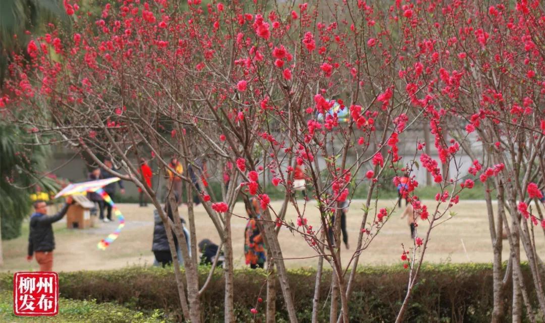 微信图片_20180303130310.jpg