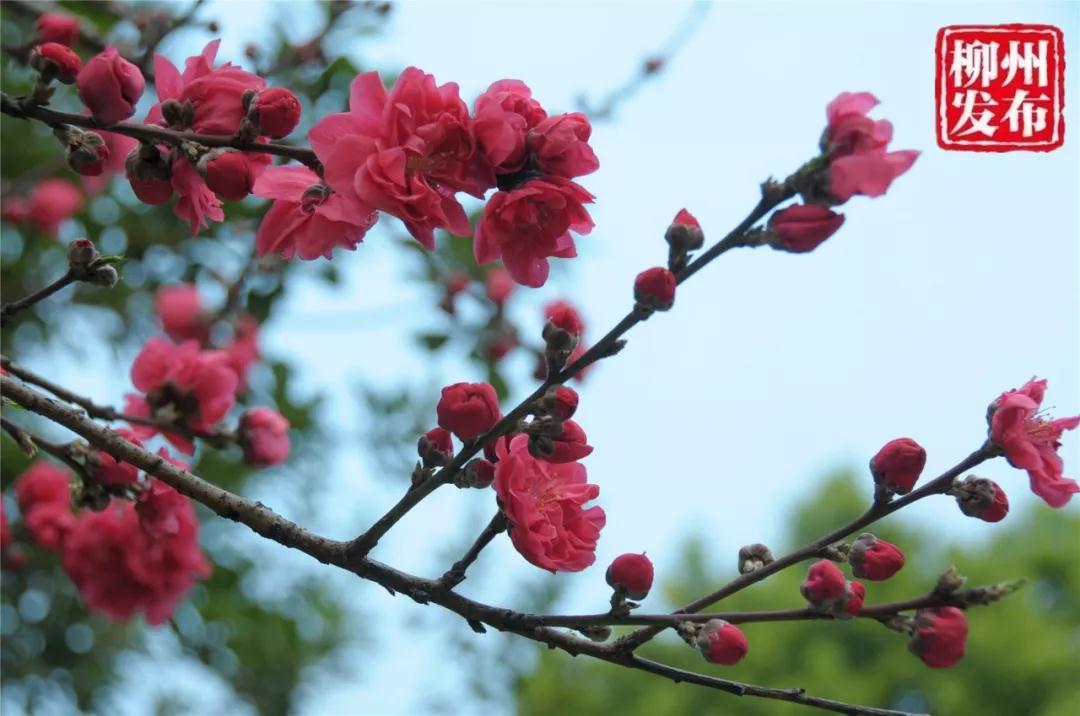 微信图片_20180303130422.jpg