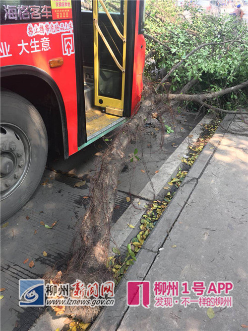 微信图片_20180304124438.jpg