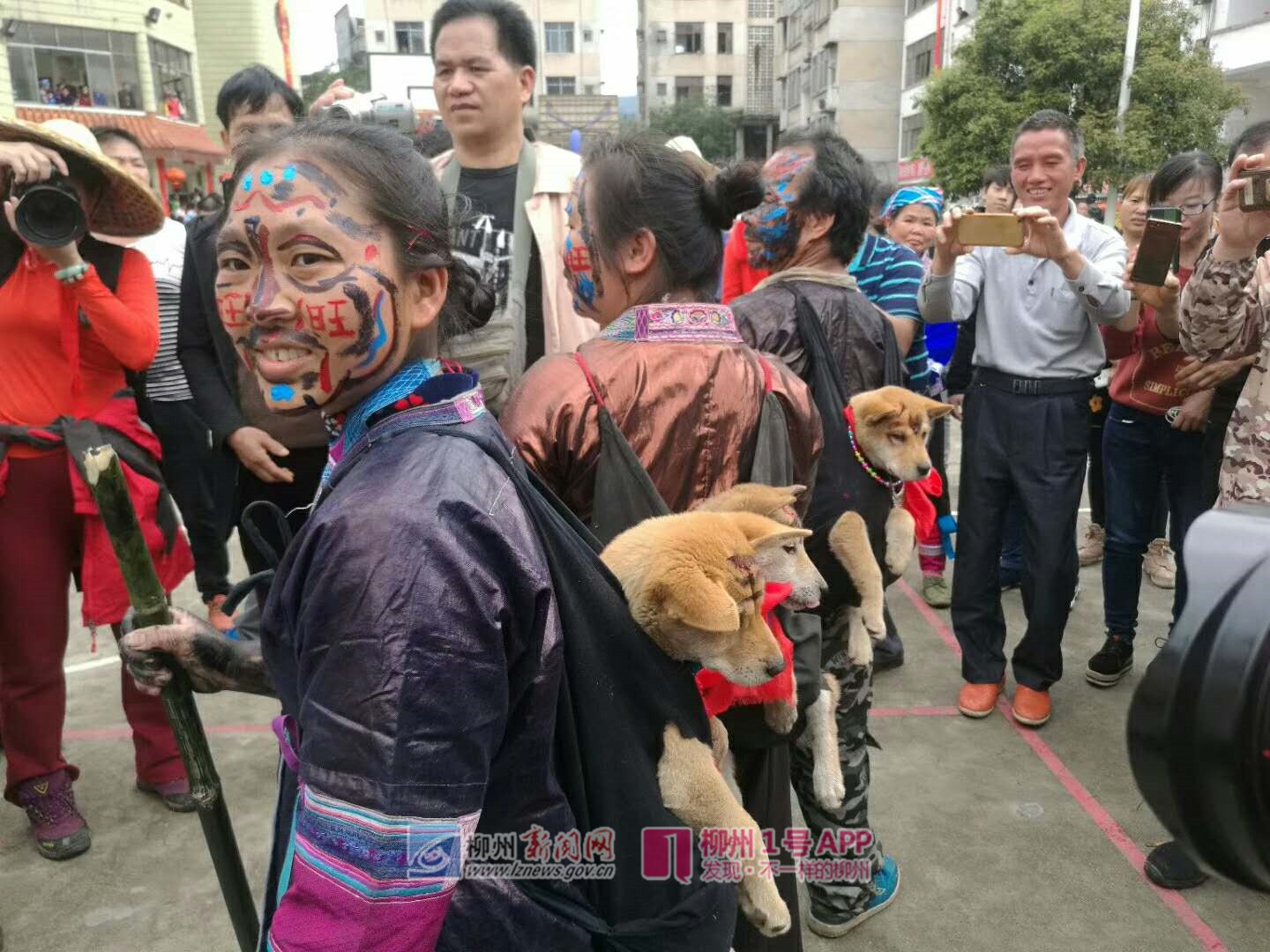 县区频道|芒篙坡会好特别，背着狗狗去拜年~