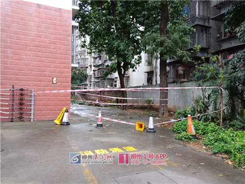 今天拍的3月4日雅儒路航道小区围墙坍塌现场。.jpg 今天拍的3月4日雅儒路航道小区围墙坍塌现场。.jpg