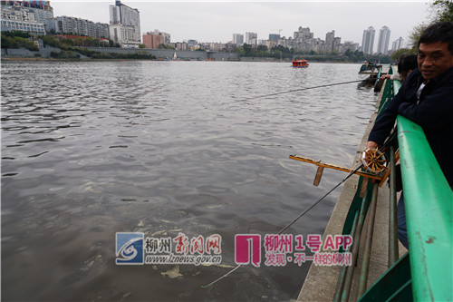 在河堤钓鱼的市民均称,从未见过这样的河水.jpg 在河堤钓鱼的市民均称,从未见过这样的河水.jpg