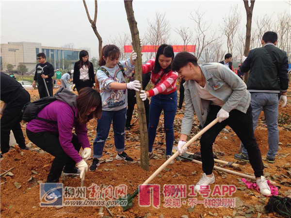 今年栽树，明年赏花——柳州这个地方未来将是一片花海