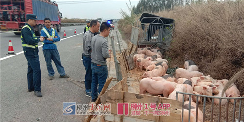 微信图片_20180312171655.jpg 微信图片_20180312171655.jpg