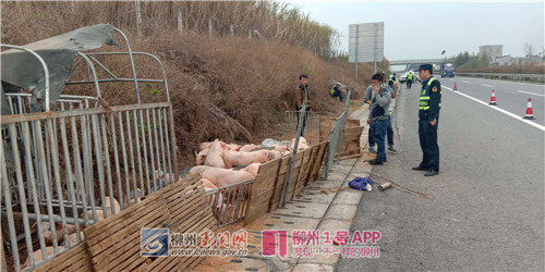 微信图片_20180312171658.jpg 微信图片_20180312171658.jpg