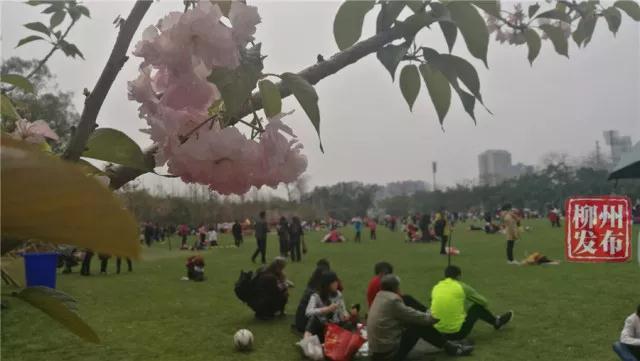 微信图片_20180313142553.jpg