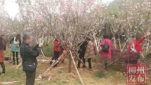 微信图片_20180313142556.jpg