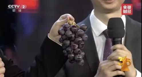 微信图片_20180316074342.jpg