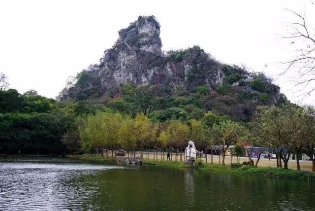 微信图片_20180316170842.jpg