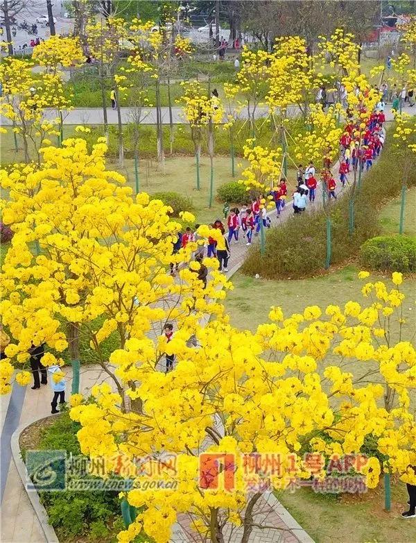微信图片_20180316171358.jpg