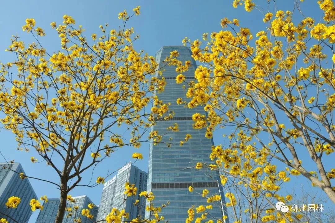 微信图片_20180317123520.jpg