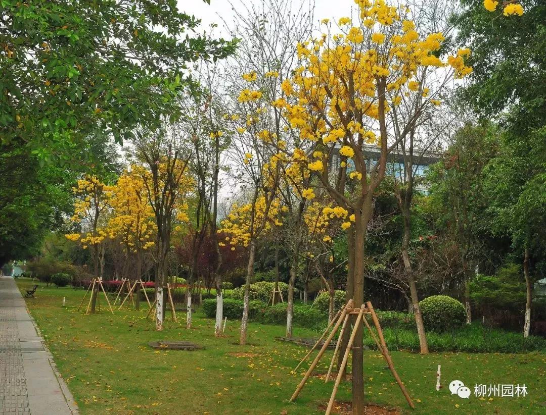 微信图片_20180317124054.jpg