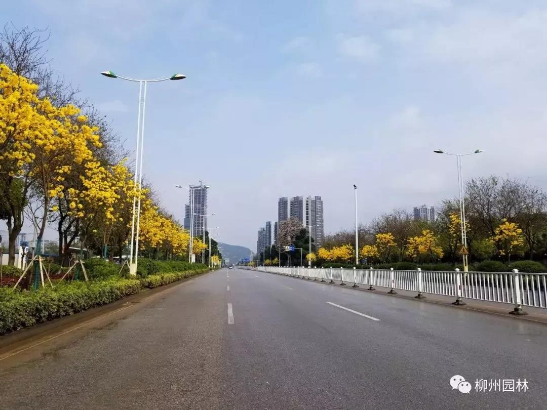 微信图片_20180317124218.jpg
