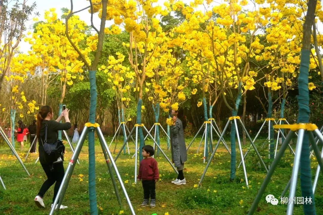 微信图片_20180317124311.jpg