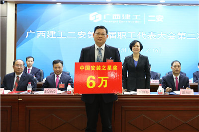 “安装之星”特别贡献奖.JPG