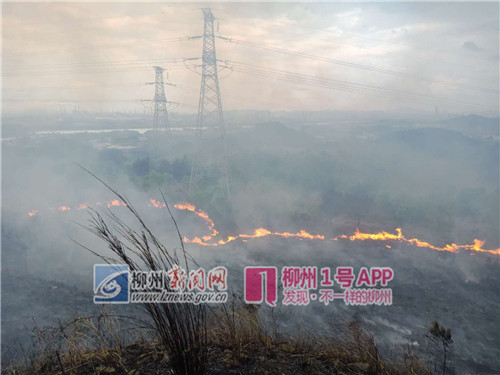 突发|太阳村镇山林大火仍在蔓延 现场紧急开辟3公里防火路