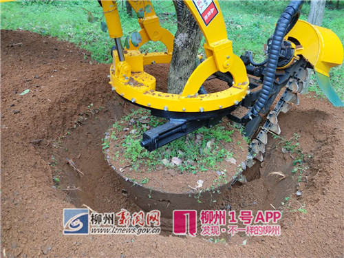 厉害！柳州有台“黑科技”产品，挖一棵树只需5分钟！