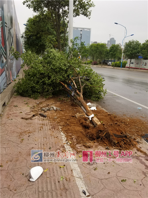 微信图片_20180319102048.jpg