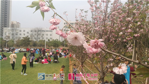 微信图片_20180319103416.jpg 微信图片_20180319103416.jpg