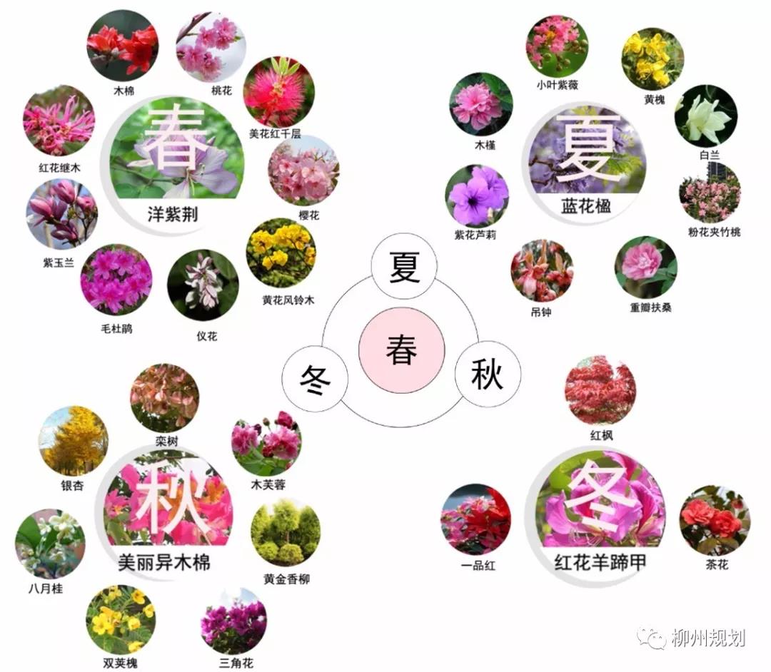 微信图片_20180319160132.jpg