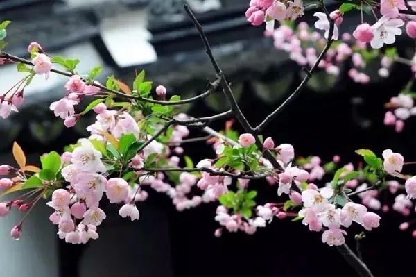 微信图片_20180321080950.jpg