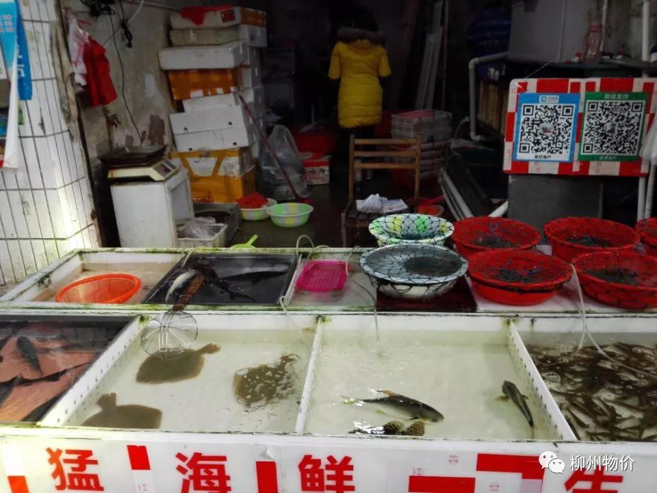 微信图片_20180322165708.jpg