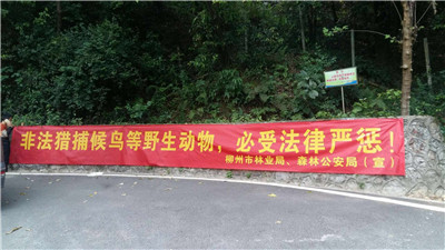 微信图片_20180324105016.jpg 微信图片_20180324105016.jpg