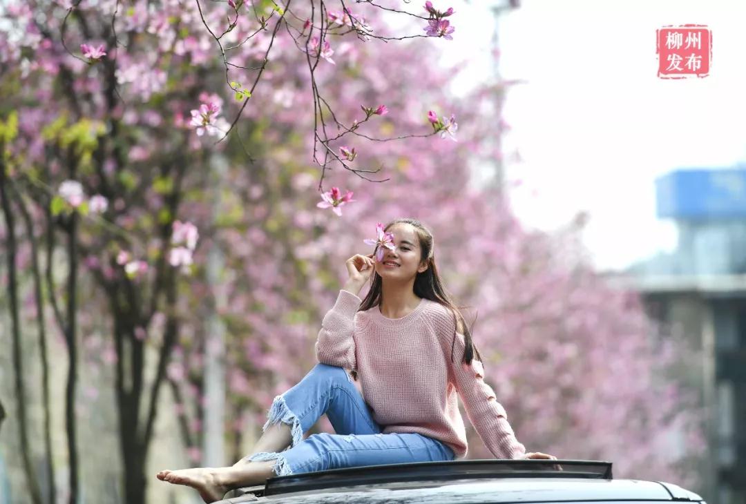 微信图片_20180324122807.jpg 微信图片_20180324122807.jpg