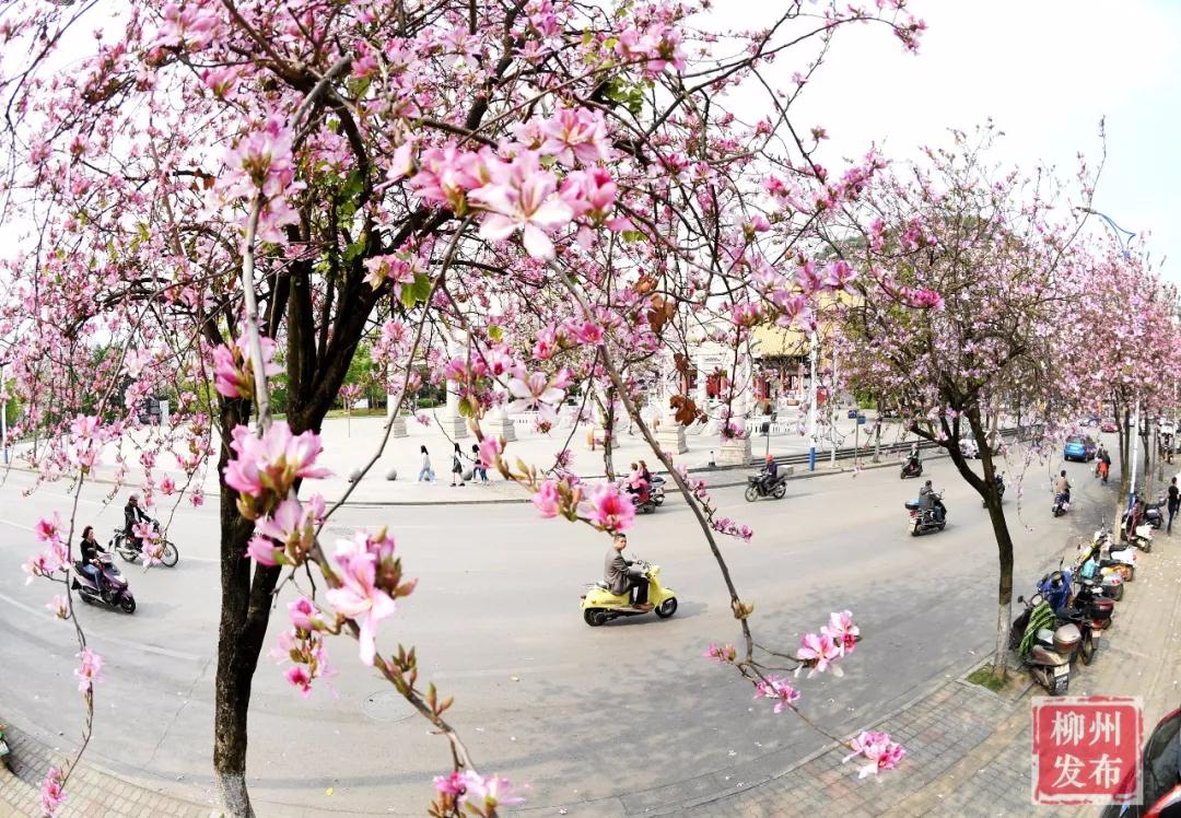 微信图片_20180324122811.jpg 微信图片_20180324122811.jpg
