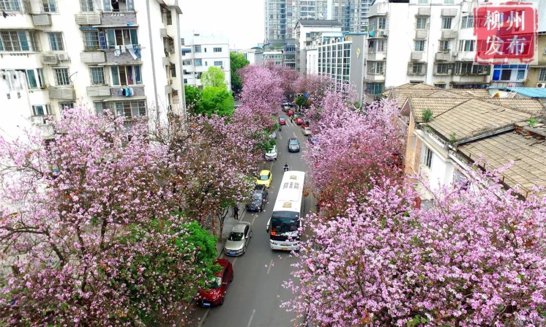 微信图片_20180324122820.jpg 微信图片_20180324122820.jpg