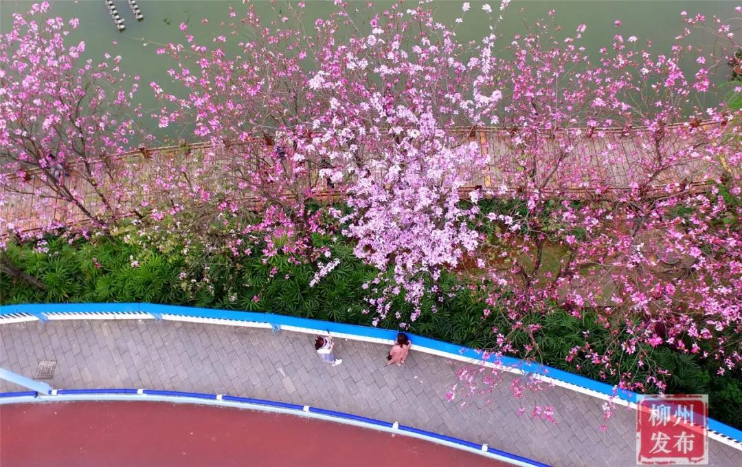 微信图片_20180324122826.jpg 微信图片_20180324122826.jpg