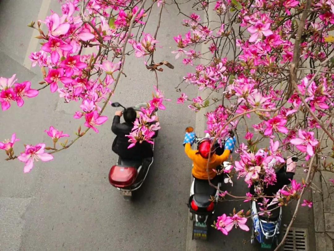 微信图片_20180324122914.jpg 微信图片_20180324122914.jpg