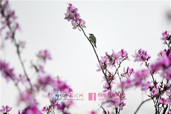 微信图片_20180324134316.jpg