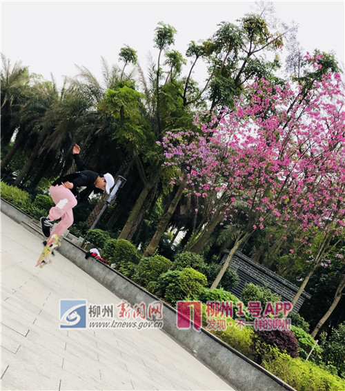 微信图片_20180324175141.jpg 微信图片_20180324175141.jpg