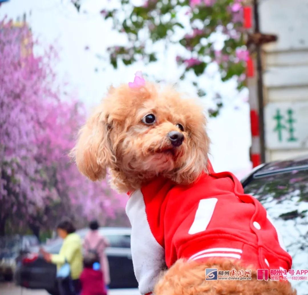 微信图片_20180326133034.jpg 微信图片_20180326133034.jpg
