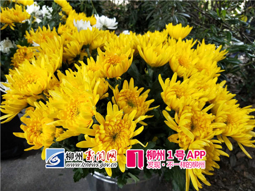 WeChat 圖片_20180327100519.jpg WeChat 圖片_20180327100519.jpg