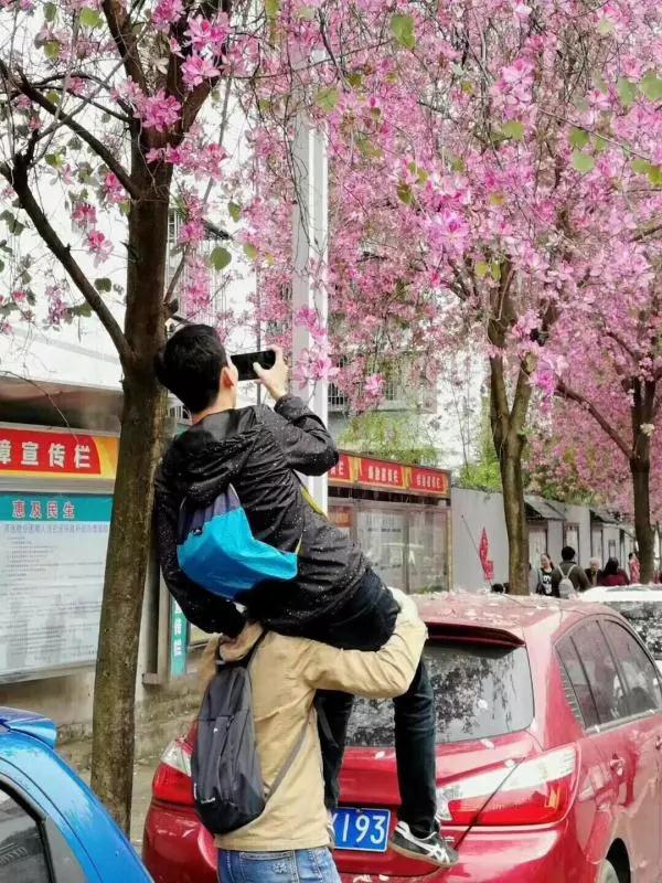 微信图片_20180327215742.jpg