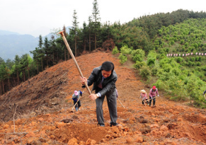 脱贫攻坚|百万富翁隐居三江深山9年，种千亩油茶树带领村民致富