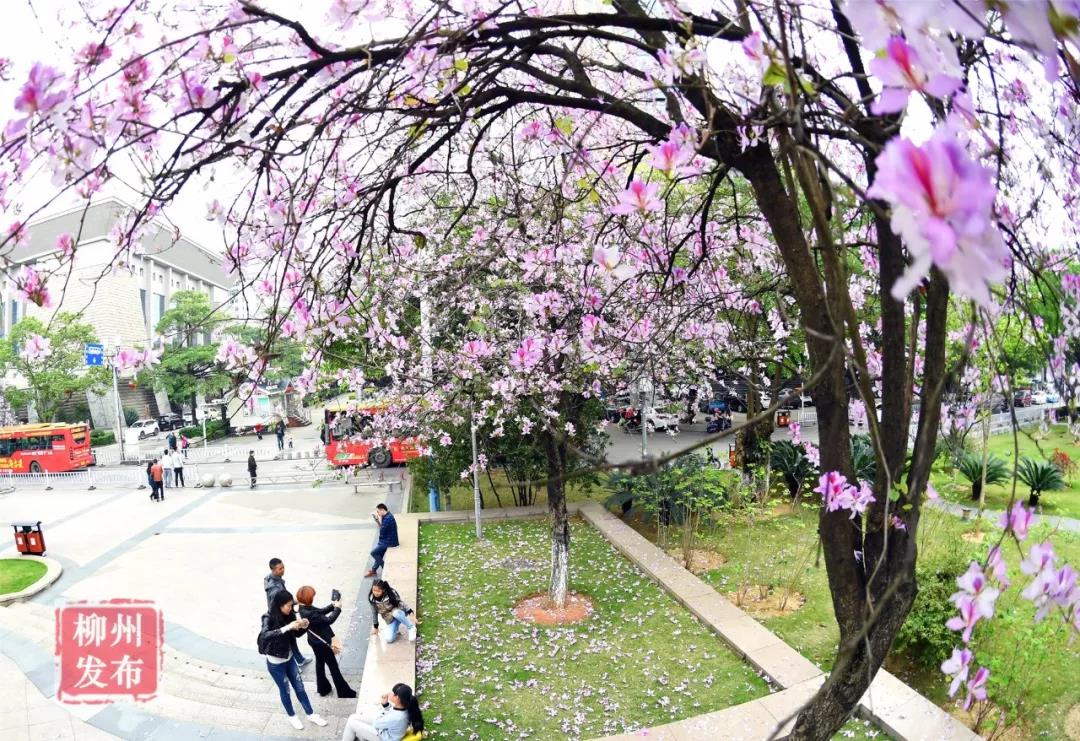 微信图片_20180329104655.jpg