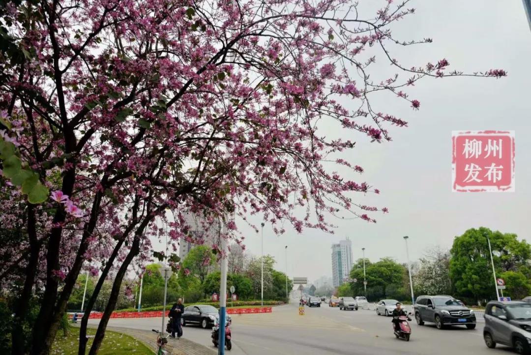 微信图片_20180329104705.jpg