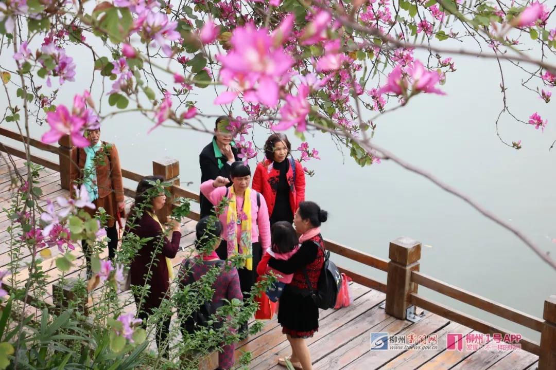 微信图片_20180329104717.jpg
