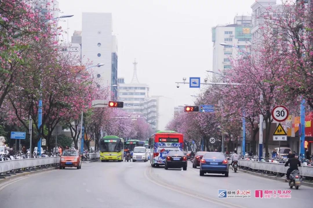 微信图片_20180329104723.jpg