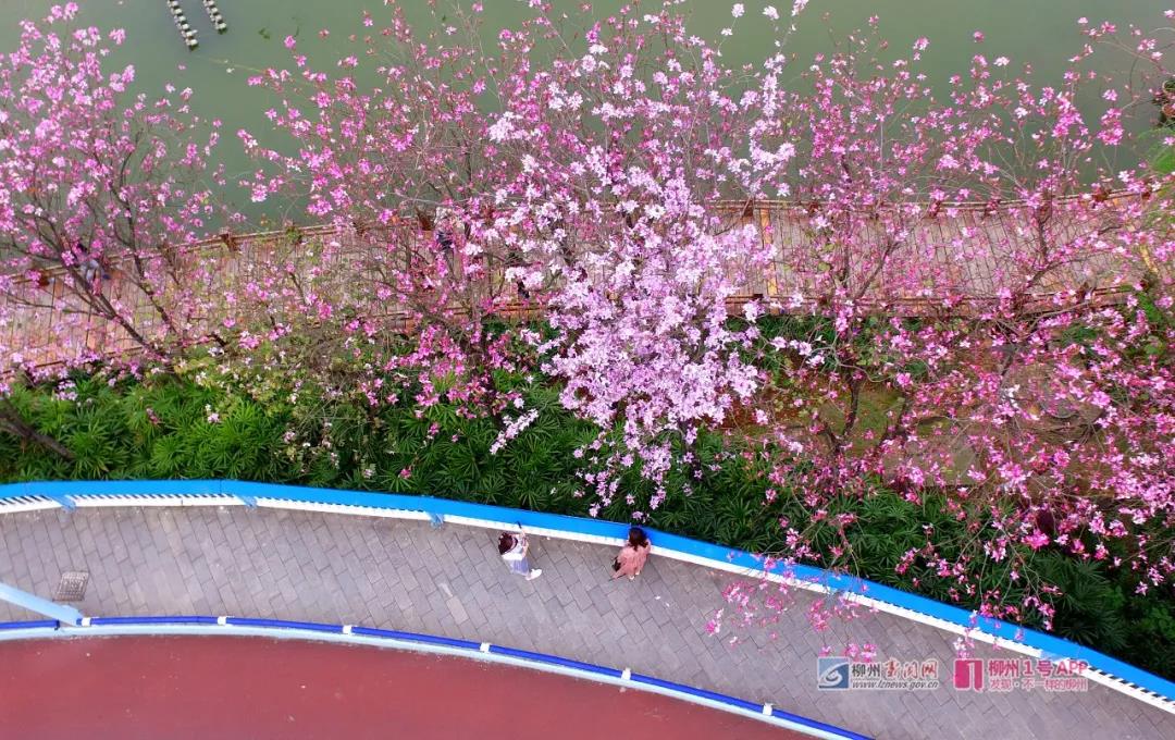 微信图片_20180329104741.jpg