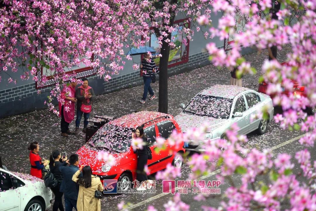 微信图片_20180329140335.jpg