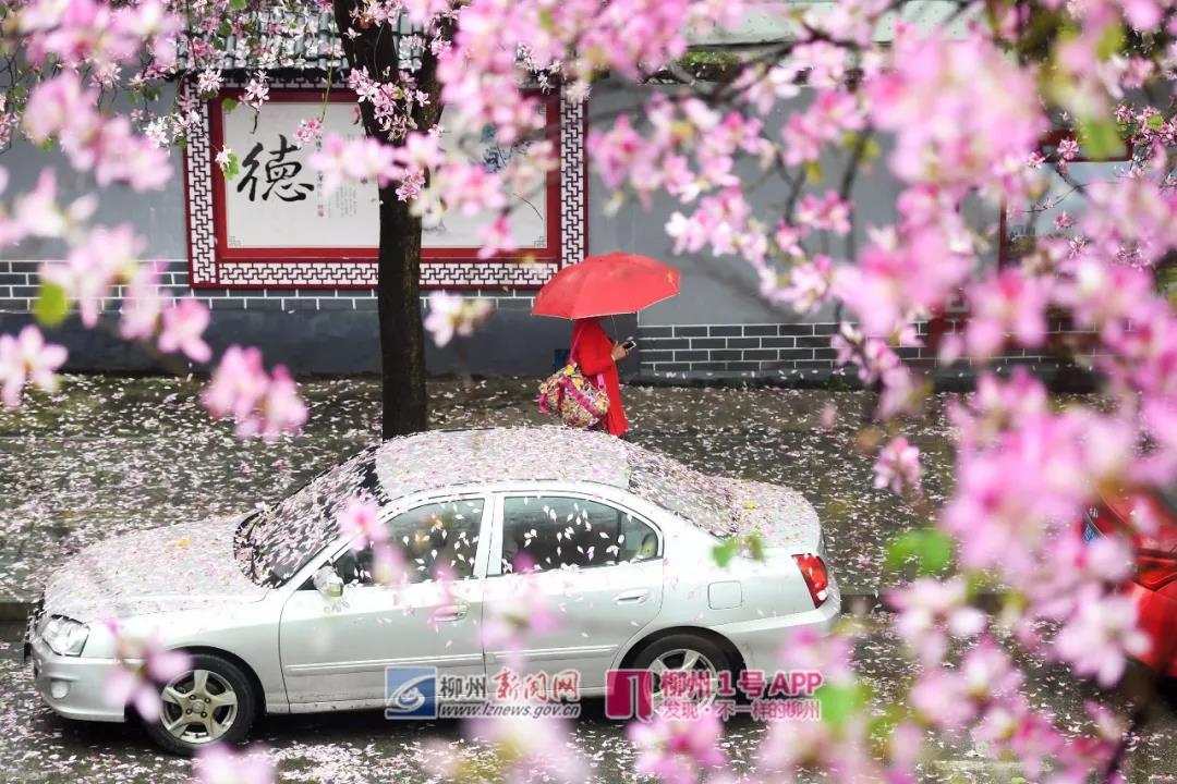 微信图片_20180329140341.jpg