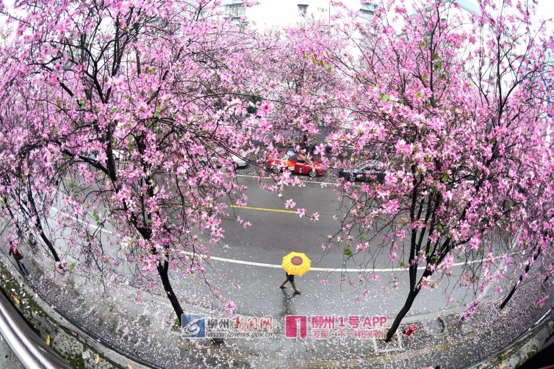 微信图片_20180329140344.jpg