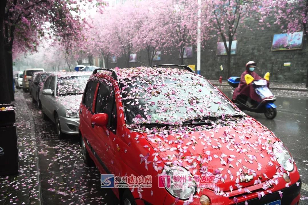 微信图片_20180329140353.jpg 微信图片_20180329140353.jpg